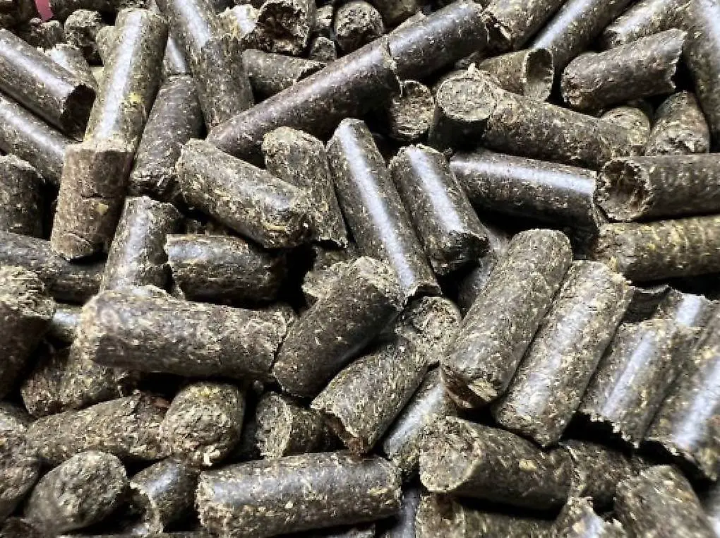 ACTION Stick 100% Ortie 50gr Pour Crevettes