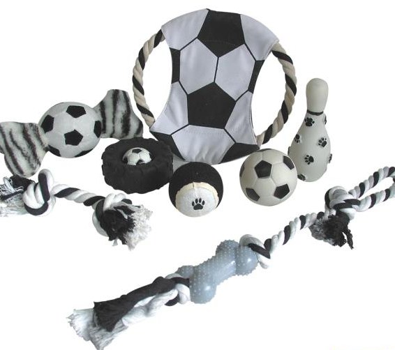 Hundespielsachen - 6-teilig diverses Zubehör zum Spielen