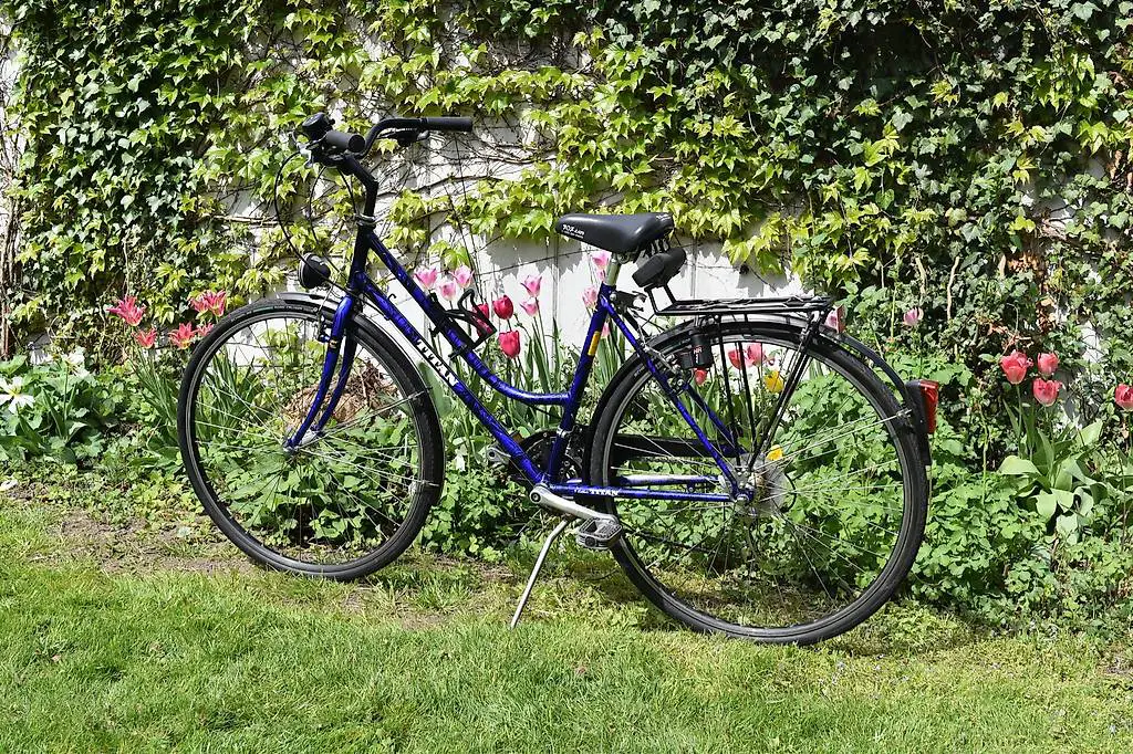 Titan Velo - kürzlich gewartet, sofort fahrbar