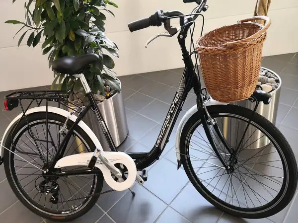  Citybike Tiefeinstig