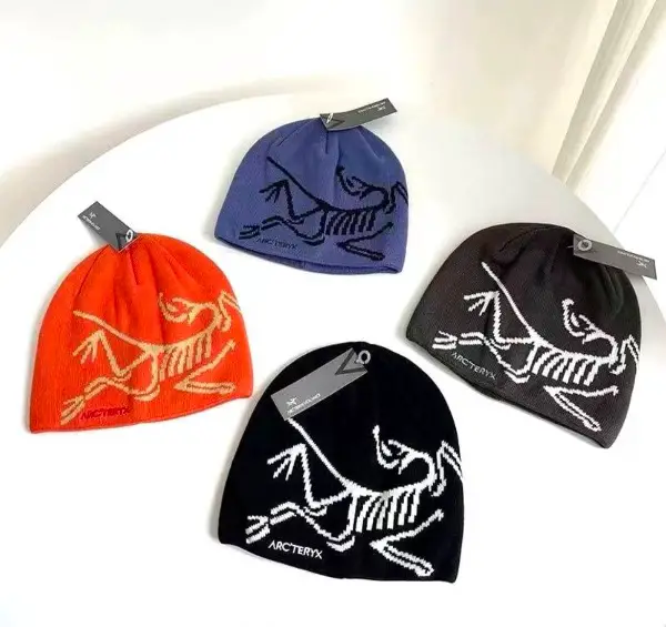 Arcteryxs Beanie