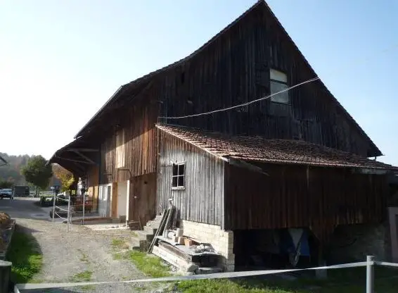 Auslaufbox in Privatstall am Greifensee