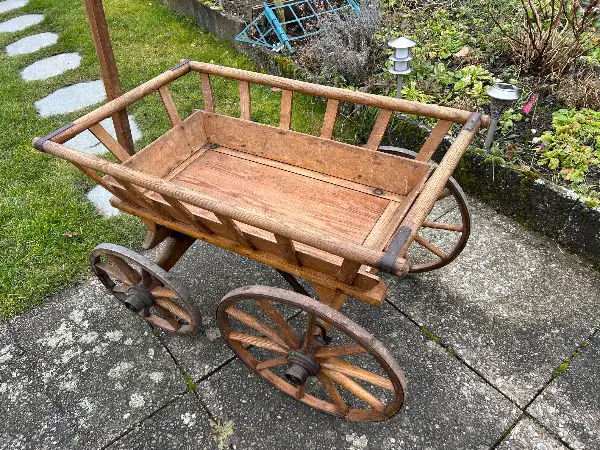 Leiterwagen Leiterwägeli