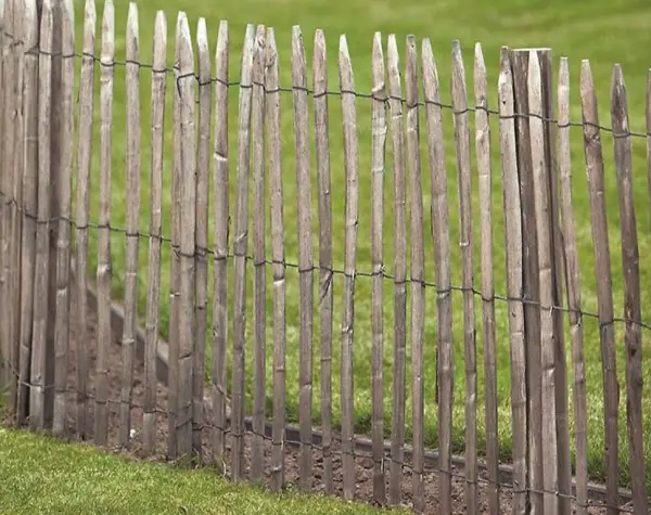  Gartenzaun englische Kastanie 460 x 90 (2 Drähte)