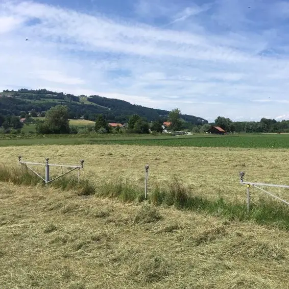 Pferdeheu, Heu, Heurundballen zu verkaufen