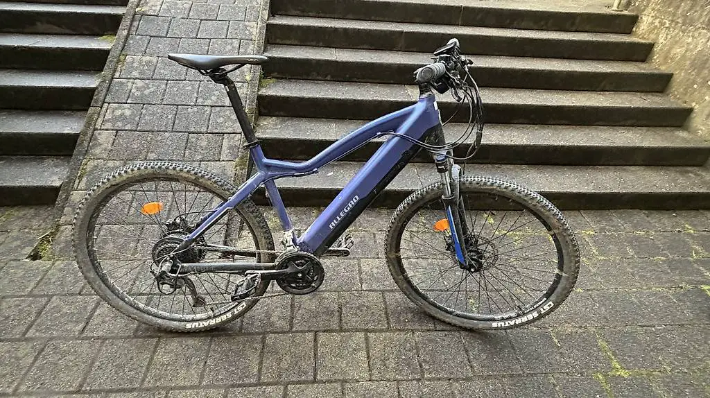 E-Mountainbike Allegro