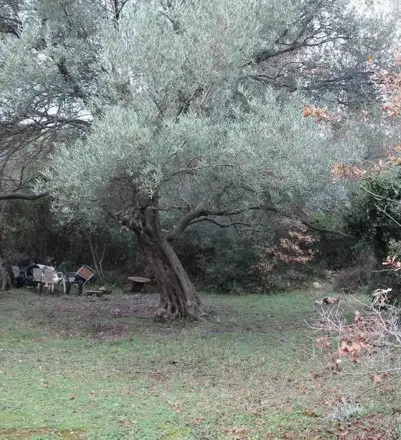 Erschlos. Baugrund. ab 6000m2 Meer 1600m. Meerblick