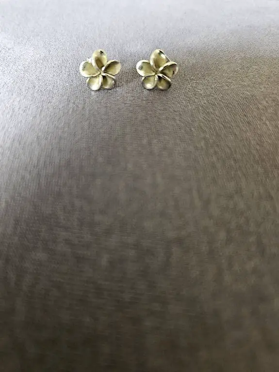 Silberkette 925 mit Ohrstecker