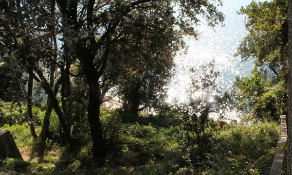 Strandhaus 120m2 Grundstück 360m2 Meer 10m. Panorama