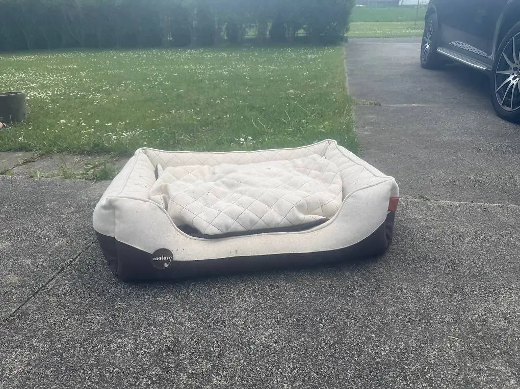 Hundebett