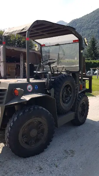 Muletto steinbock dfg2