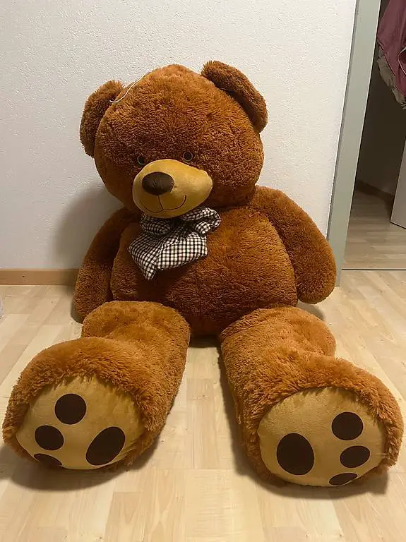 Teddybär Gratis