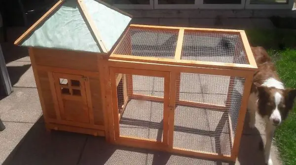  Vendo NUOVO Pollaio piccolo