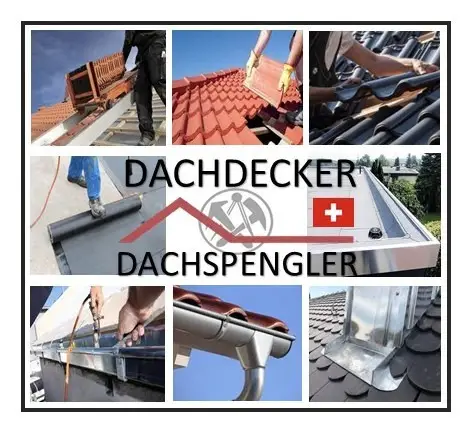 Dachdecker/-spengler (Steil/Flach) 100% CH-Deutsch-Schweiz