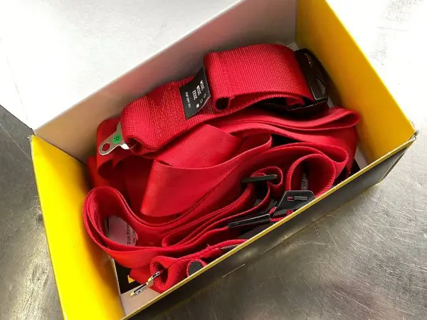  Sport Gurten Schroth FHR