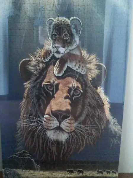 schönes Löwen-Puzzle