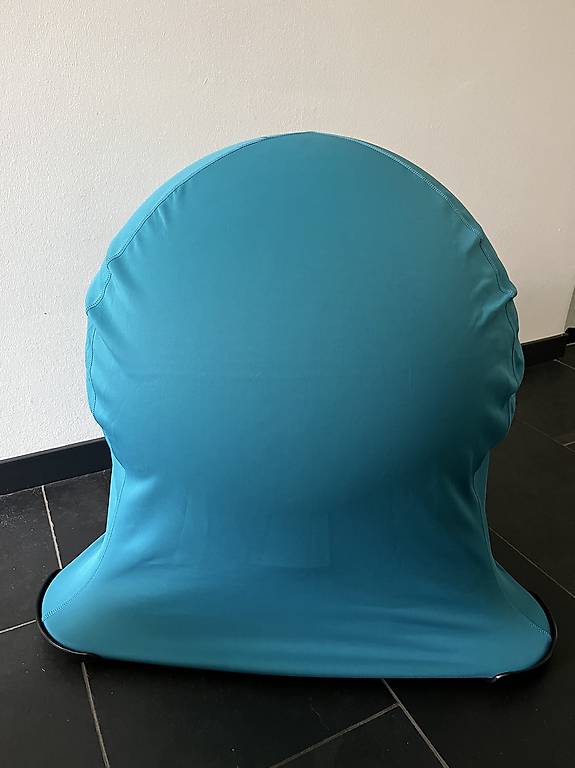 Sitzball Sitzhocker Gesundheitsball Jellyfisch?
