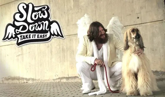 Slow Down Take it Easy Plakate Poster bfu bpa upi Verkehr