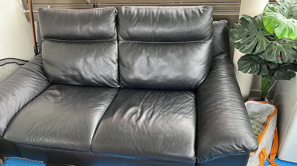 Echtleder Sofa schwarz Pfister