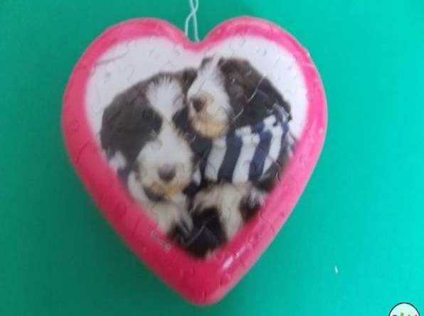 Puzzleherz von Ravensburger: Hund