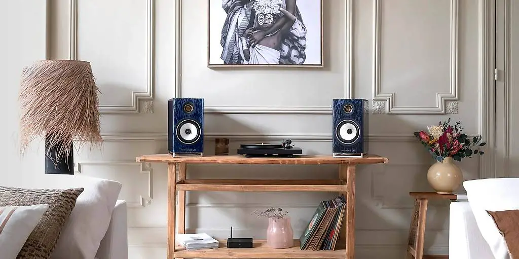 Triangle Capella Aktiv-Lautsprecher, Garantie bis 12/2026