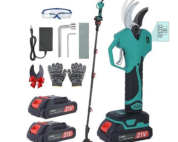 Akku Astschere mit 2 m Teleskopstange