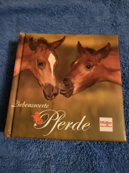 Liebenswerte Pferde