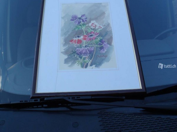 Quadro acquarello di Adelma Mapelli