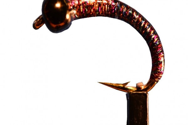  IA11 Felchen Gambe Hegene Topköder für Felchen