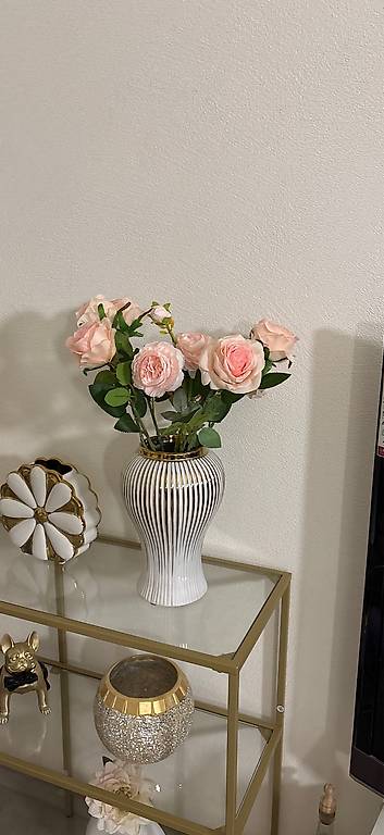 7 Stück Rosén alles 15 fr neue