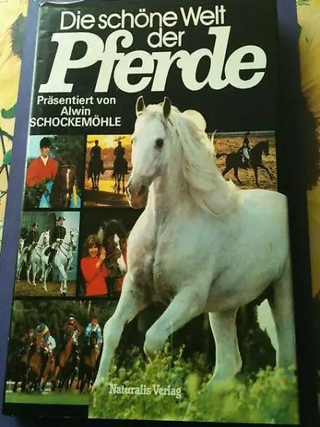 Die schöne Welt der Pferde
