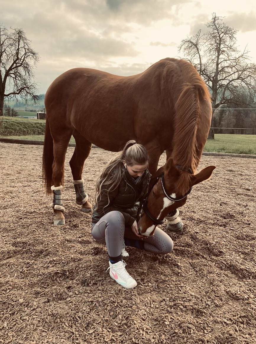 Suche Reitbeteiligung nähe Wollerau SZ