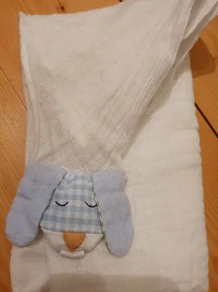 süsses wie neues Nuscheli aus sozialer Institution