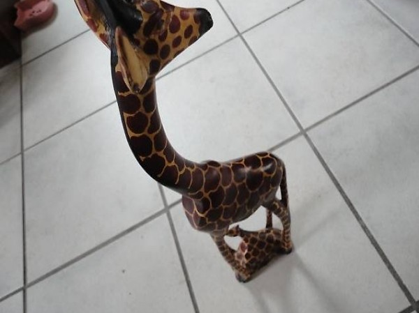 Giraffe mit Jungem