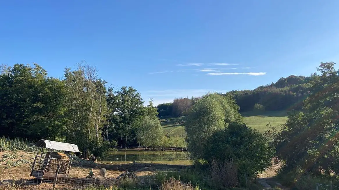 Selbstversorgerstall mit Weideland gesucht im Kanton Zug, Schwyz