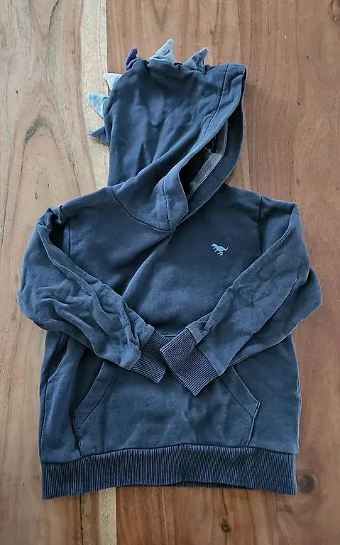 Kapuzen Pullover 98, 98/104, 104/110 und 110