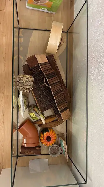 gabbia per criceti / terrario