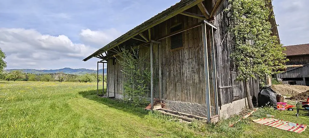 Brennholzgestell ca. 12 Meter x 3.75 Meter (Nutzhöhe)