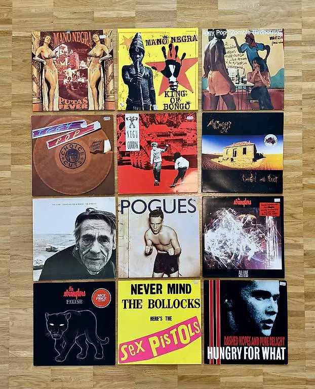 12x Punk, Rock, Volk, Schallplatten, Vinyl Sammlung