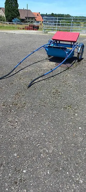 Sulky für Pferde