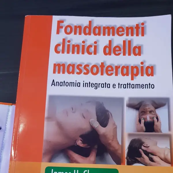 Professionelle Massage für 50 chf (eine Stunde)