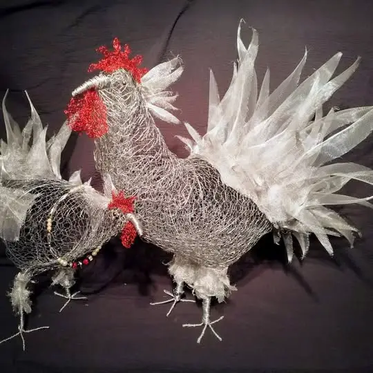 Federvieh Vanessa und Kilian