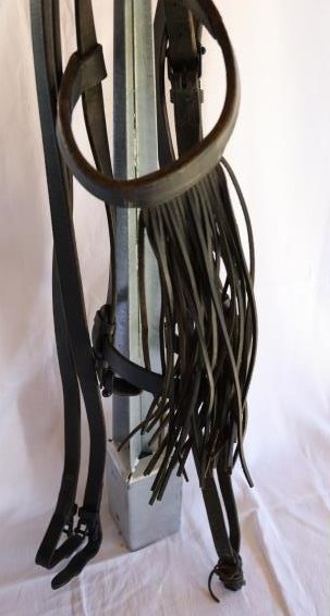 Diverse Zäume schwarz zu verkaufen