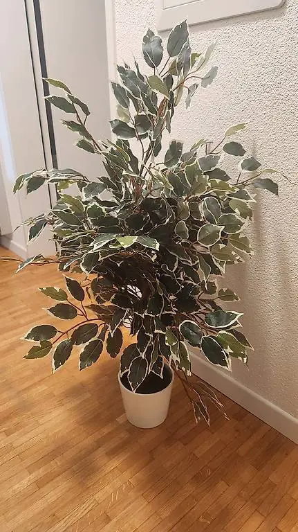 Kunstpflanze - Deko Pflanze