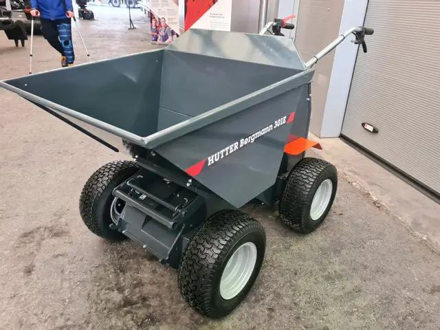 BERGMANN, 301E, Rückwärtskipper