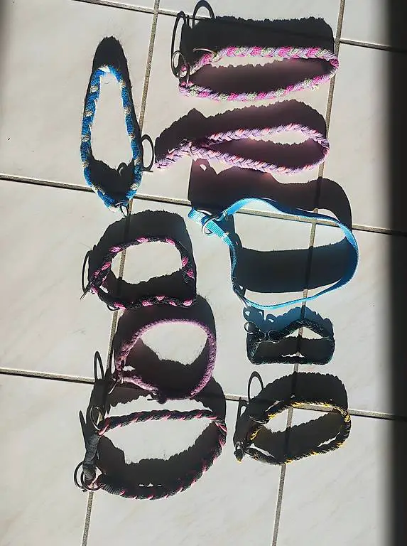 Hundehalsband Set, diverse Grössen, geflochten, 9 Stück