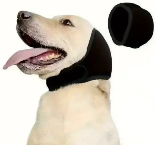 Ohrenschutz, Gehörschutz für Hunde