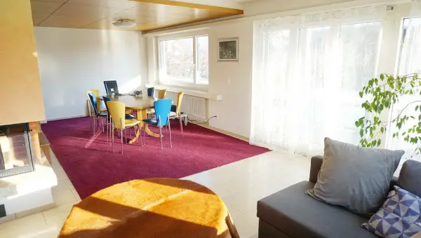 Private Rooms in 200 m2 apartment, near Baden/Villigen PSI