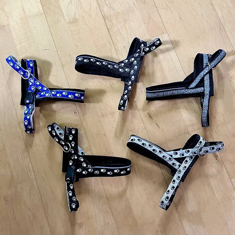 5Stk. Freezack Norweger Hundegeschirre XS/XXS, Stk. 9.-/15.-