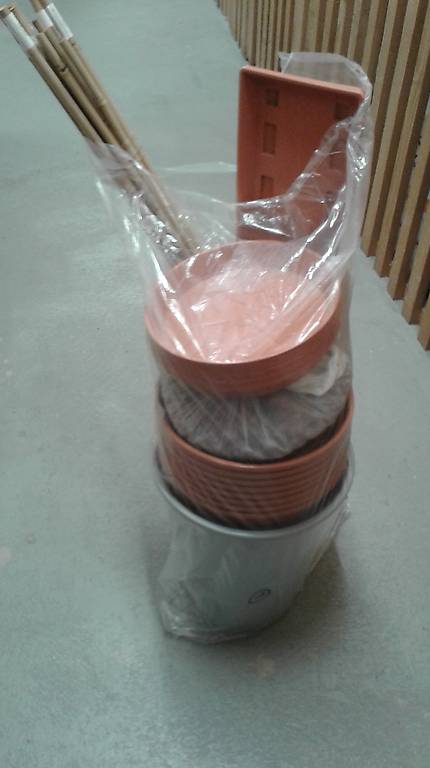 Blumentöpfe verschiedene Grössen mit Untersatz